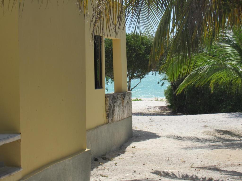 Two bedroom beachfront villa Celestun Buitenkant foto
