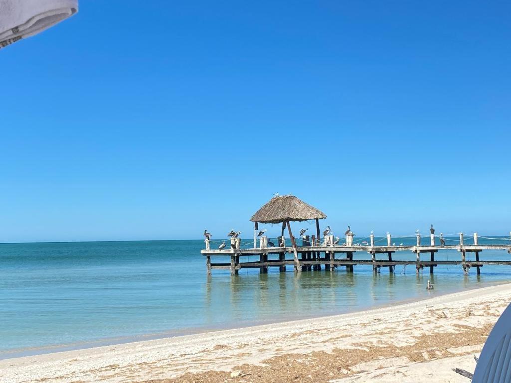 Two bedroom beachfront villa Celestun Buitenkant foto